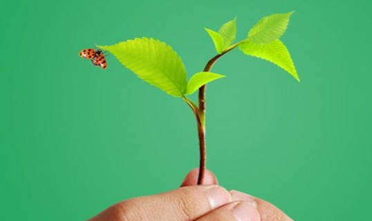 霸陵墓園聯(lián)系誰—霸陵墓園怎么樣—西安墓園多少錢