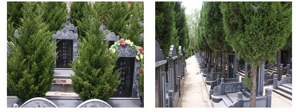 西安壽陽山墓園好不好