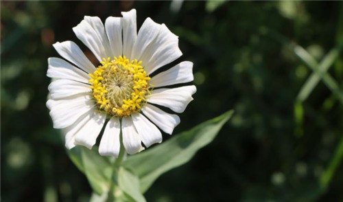 西安漢陵園墓價(jià)格