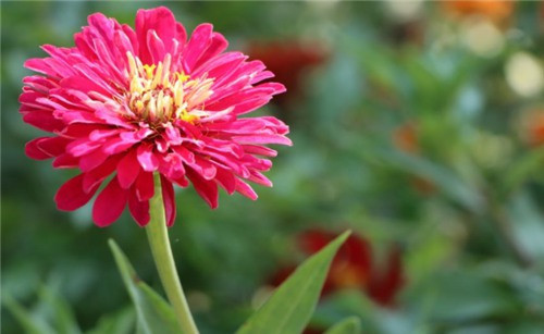 西安市公墓大全、西安市墓園大全、西安便宜的墓地 