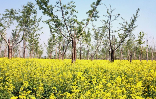 西安壽陽山墓園怎么走，前往西安壽陽山墓園的交通指南
