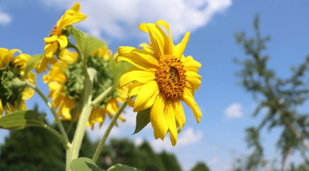 陜西省西安市壽陽山墓園自然生態(tài)陵園價(jià)格