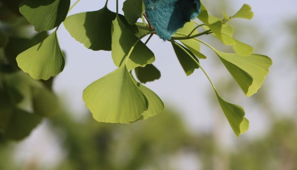 西安公墓依山傍水