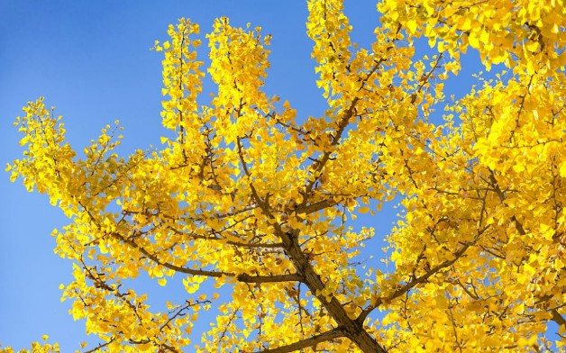 西安霸陵新區(qū)公墓價格-霸陵新區(qū)的墓地怎么樣？-霸陵墓園