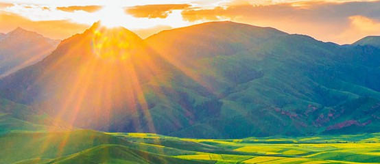 西安霸陵新區(qū)有什么園