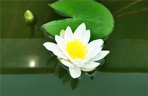 西安市高橋墓園,高橋墓園公交線路查詢