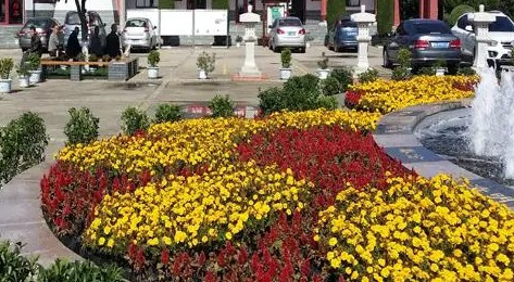 西安墓園哪里有樹葬-西安墓園哪里可以進(jìn)行樹葬?