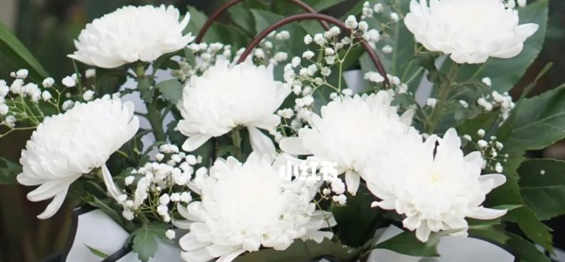 西安壽陽山墓園選購-西安壽陽山墓園一生一世的寄托之所