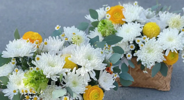 西安漢陵墓園怎么樣？價(jià)格、地址、交通情況