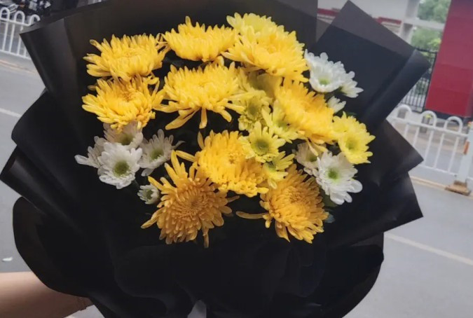 壽陽山墓園長青園東/西區(qū)價格-公墓價格一覽表