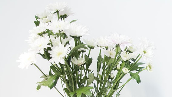 西安墓園預(yù)約-西安墓園預(yù)約:難題與解決