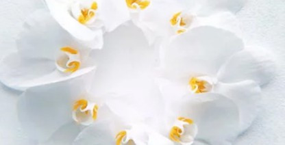 西安有哪些皇家墓地