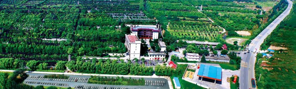 西安有哪些公墓？西安市周邊墓園有哪些