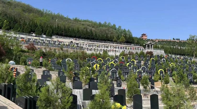 西安高橋圖片風(fēng)景款活動價需要看選加微信定號