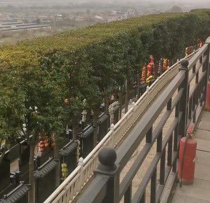 西安霸陵新區(qū)寶玉園，視野開闊，綠樹成蔭！