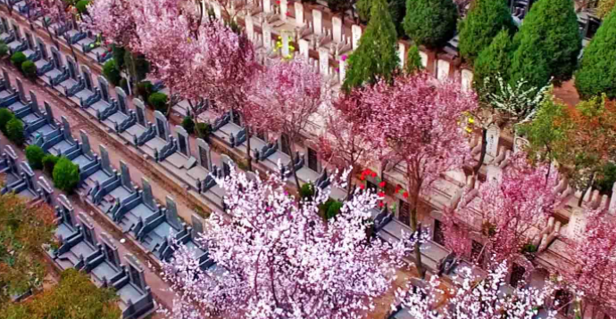 西安鳳棲山墓園北區(qū)可乘坐、路公交車(chē)抵達(dá)